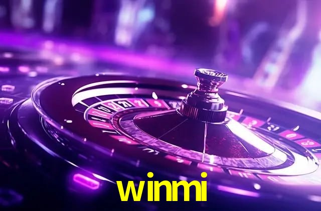 Interface Premium winmi